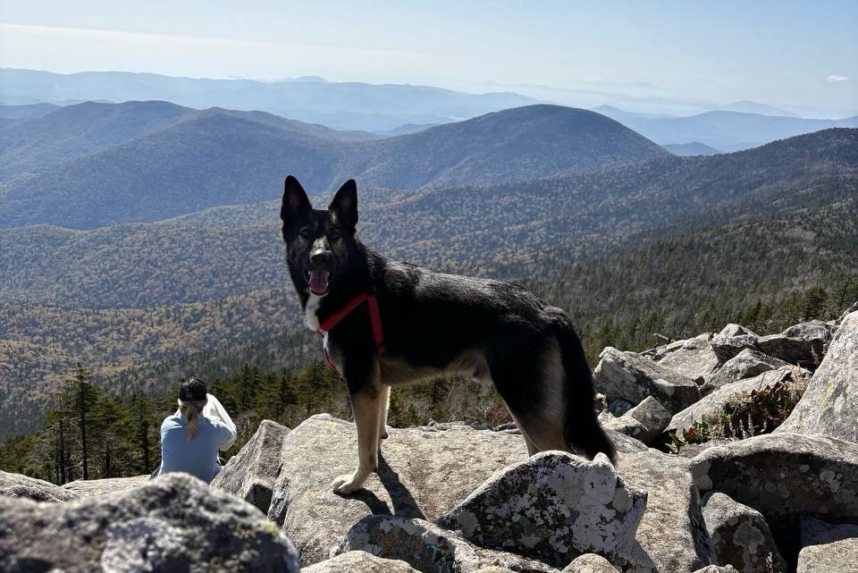 IMAGE 2025-10-09 123333.jpg